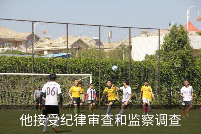 他接受纪律审查和监察调查
