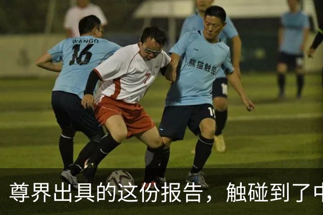 尊界出具的这份报告，触碰到了中国车圈最深的障碍