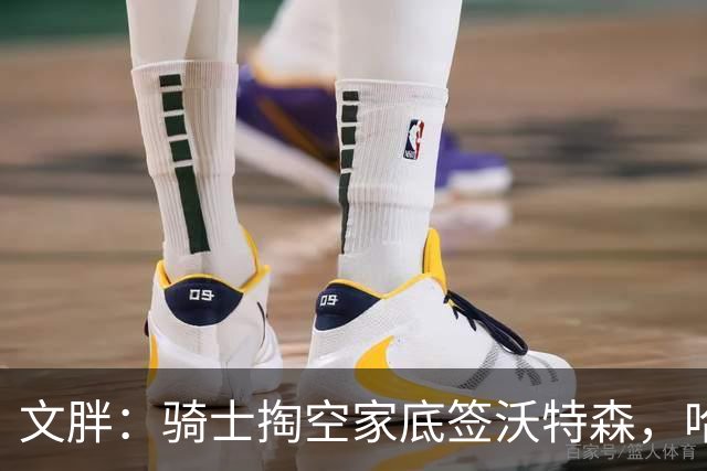 文胖：骑士掏空家底签沃特森，哈登都为此降薪腾空间