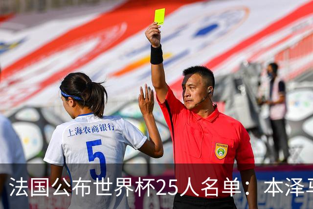 法国公布世界杯25人名单：本泽马姆巴佩领衔