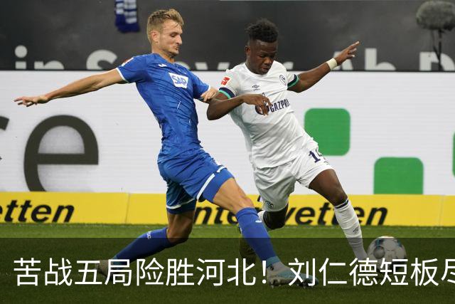 苦战五局险胜河北！刘仁德短板尽显，丁心怡亮眼发挥成最大惊喜